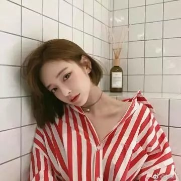 冒牌特工